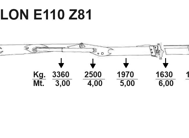 Autoc MAN TGA 26.460 – CL 962 RS – PALFINGER EPSILON E110 Z81 (11)