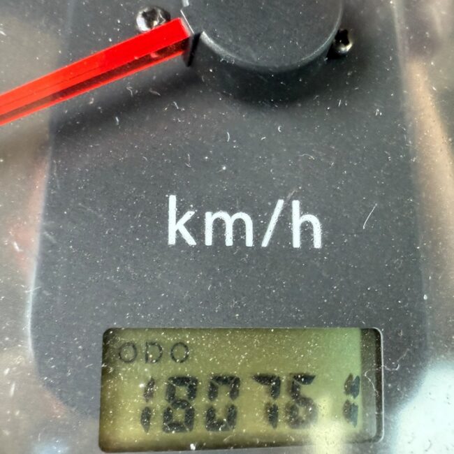 Autoc NISSAN ATLEON 35.15 – EM 955 EV – P2300L 2SI (16)