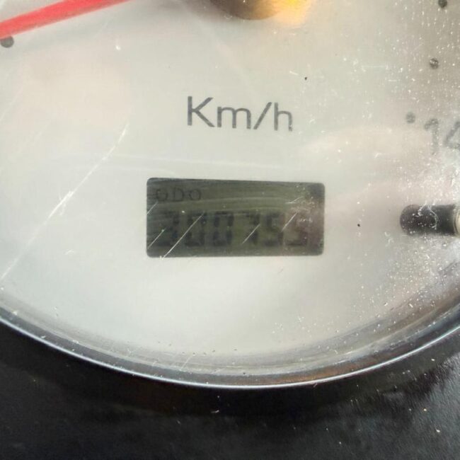 Autoc NISSAN ATLEON 120 – BZ 740 PP – EFFER EASY POWER 30 3S (21)